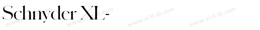 Schnyder XL字体转换